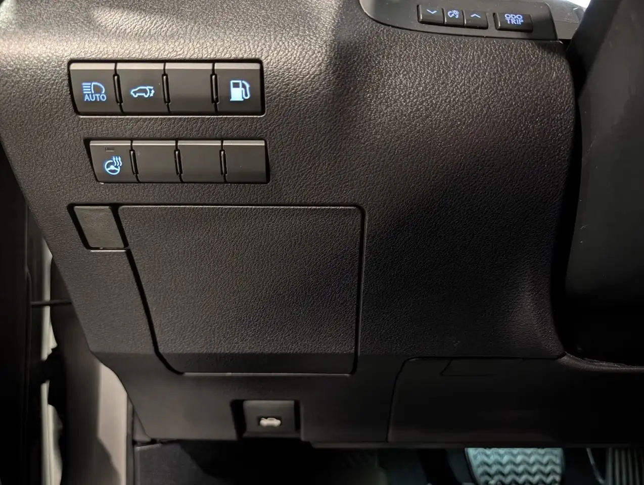 Lexus RX - Image 19
