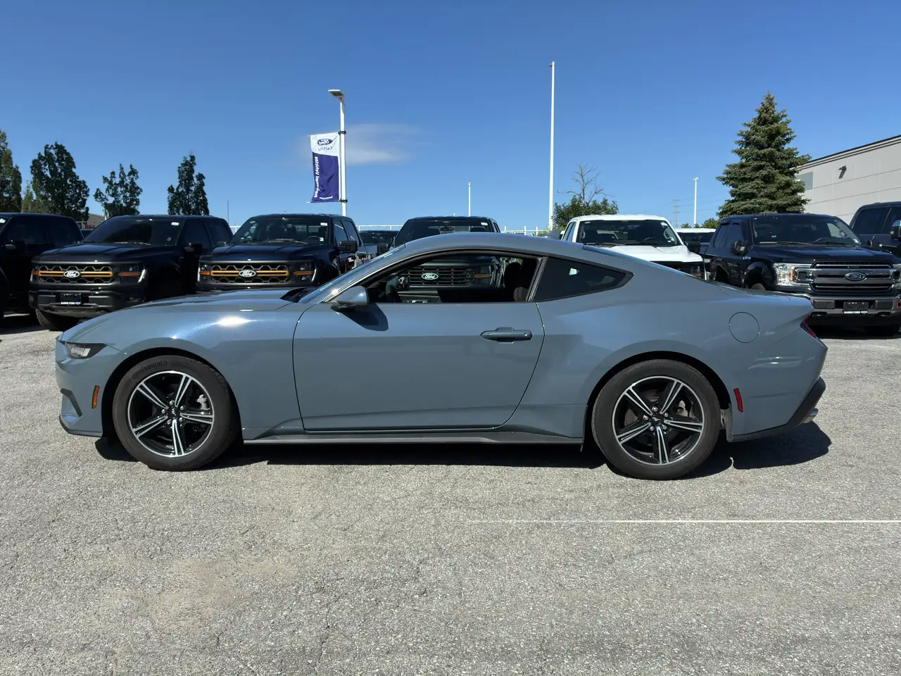 Ford Mustang - Image 4
