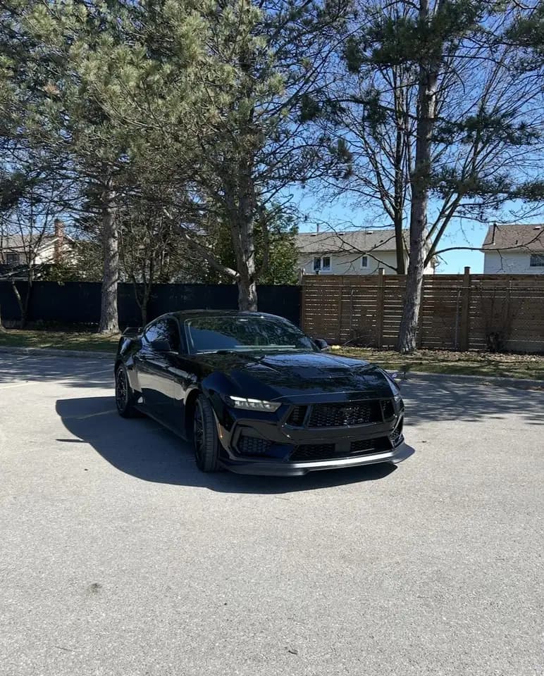 Ford Mustang - Image 2
