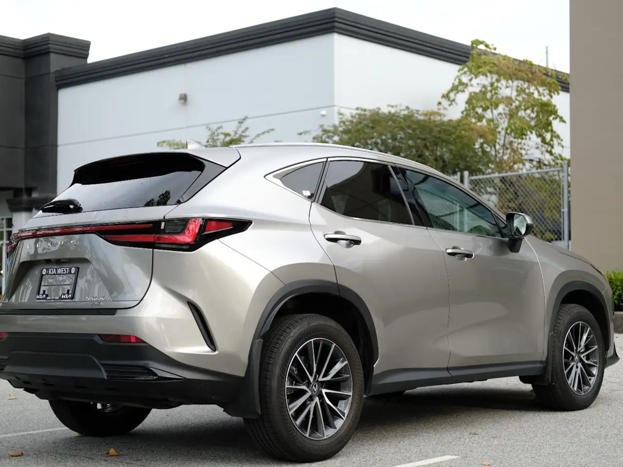 Lexus NX - Image 6