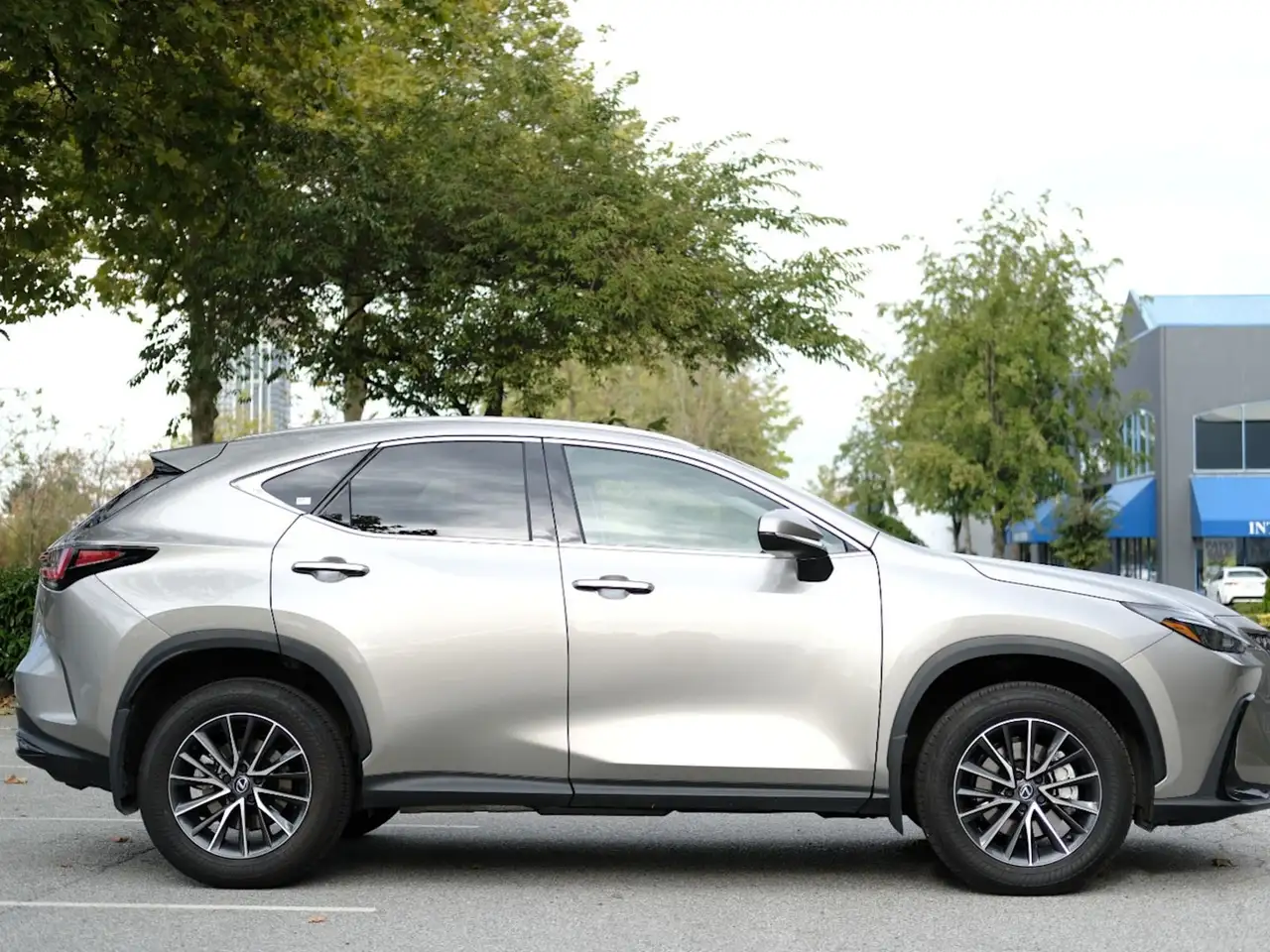 Lexus NX - Image 5