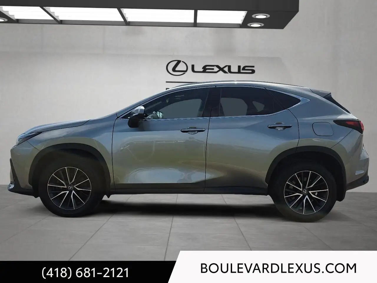 Lexus NX - Image 6