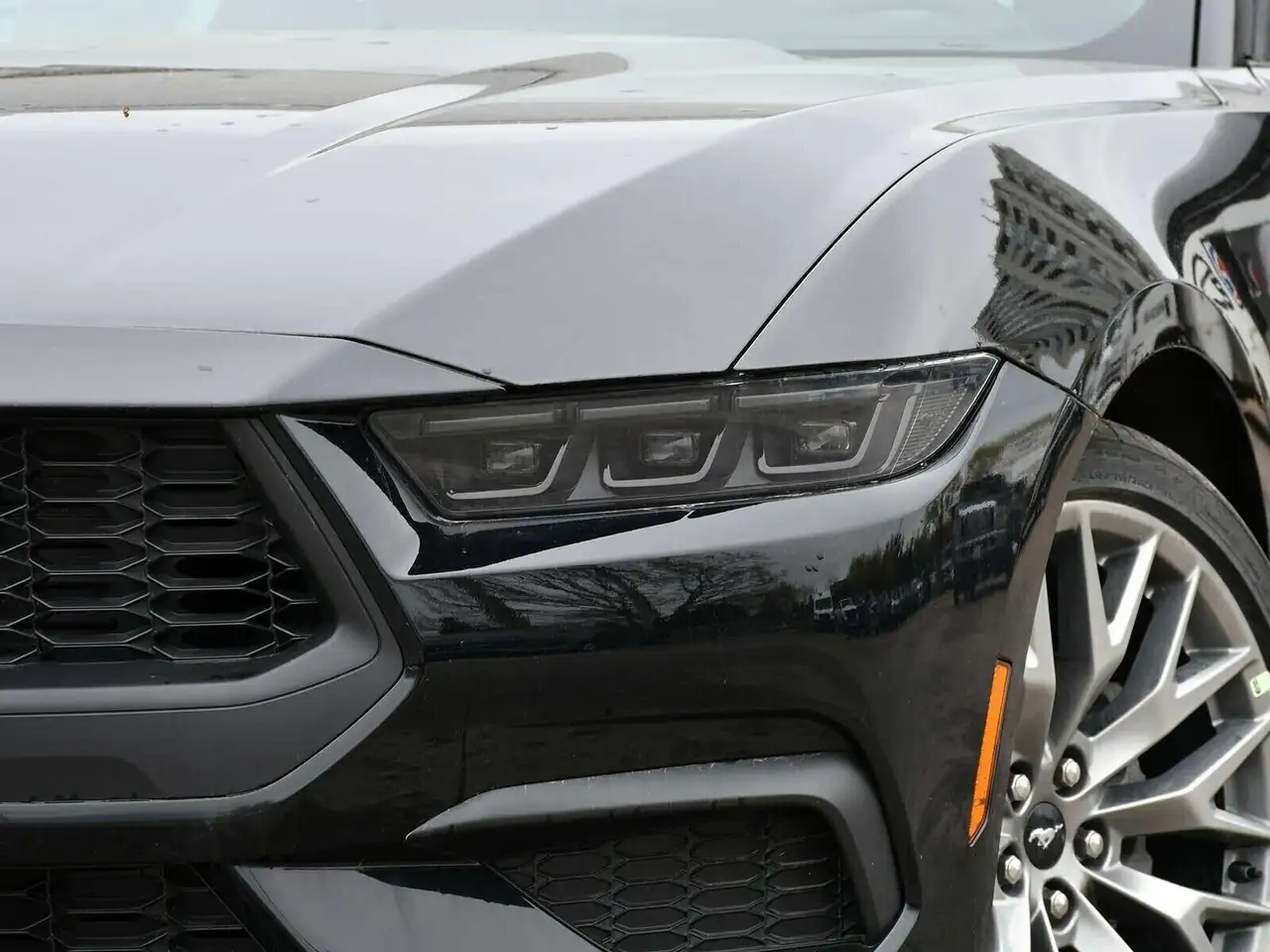 Ford Mustang - Image 3