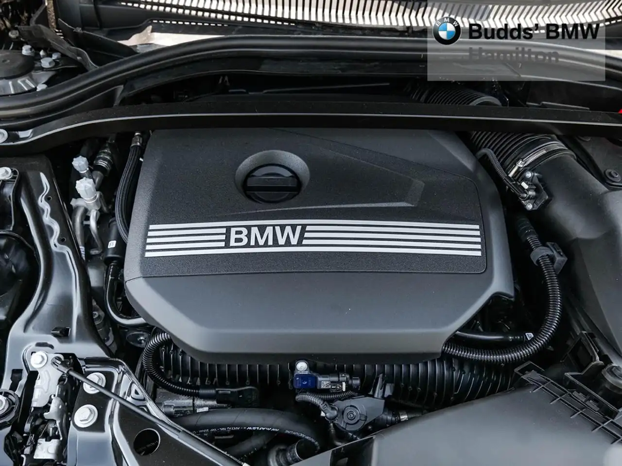 BMW 2 Series - Image 5