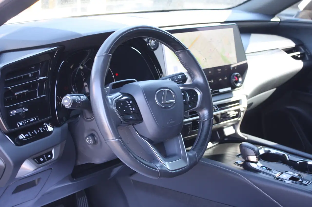 Lexus RX - Image 10