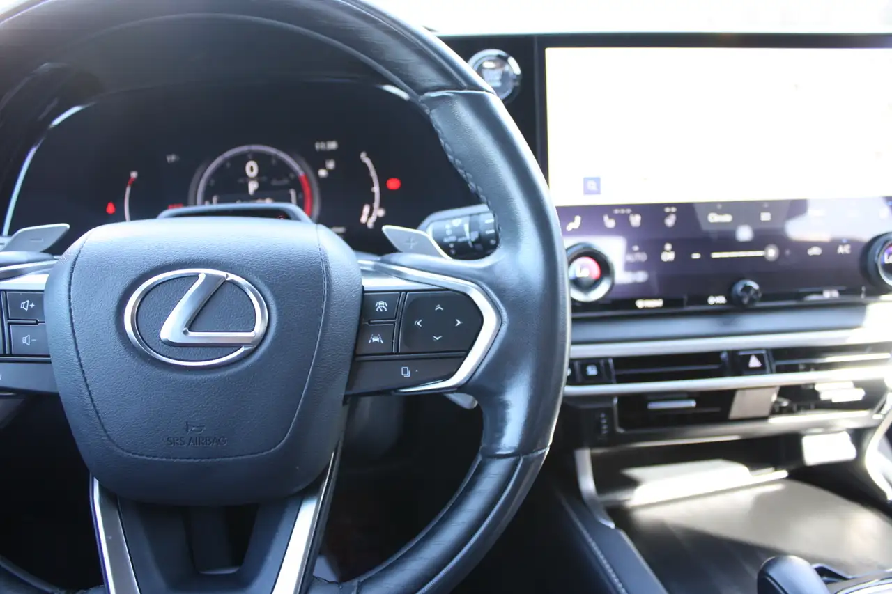 Lexus RX - Image 16