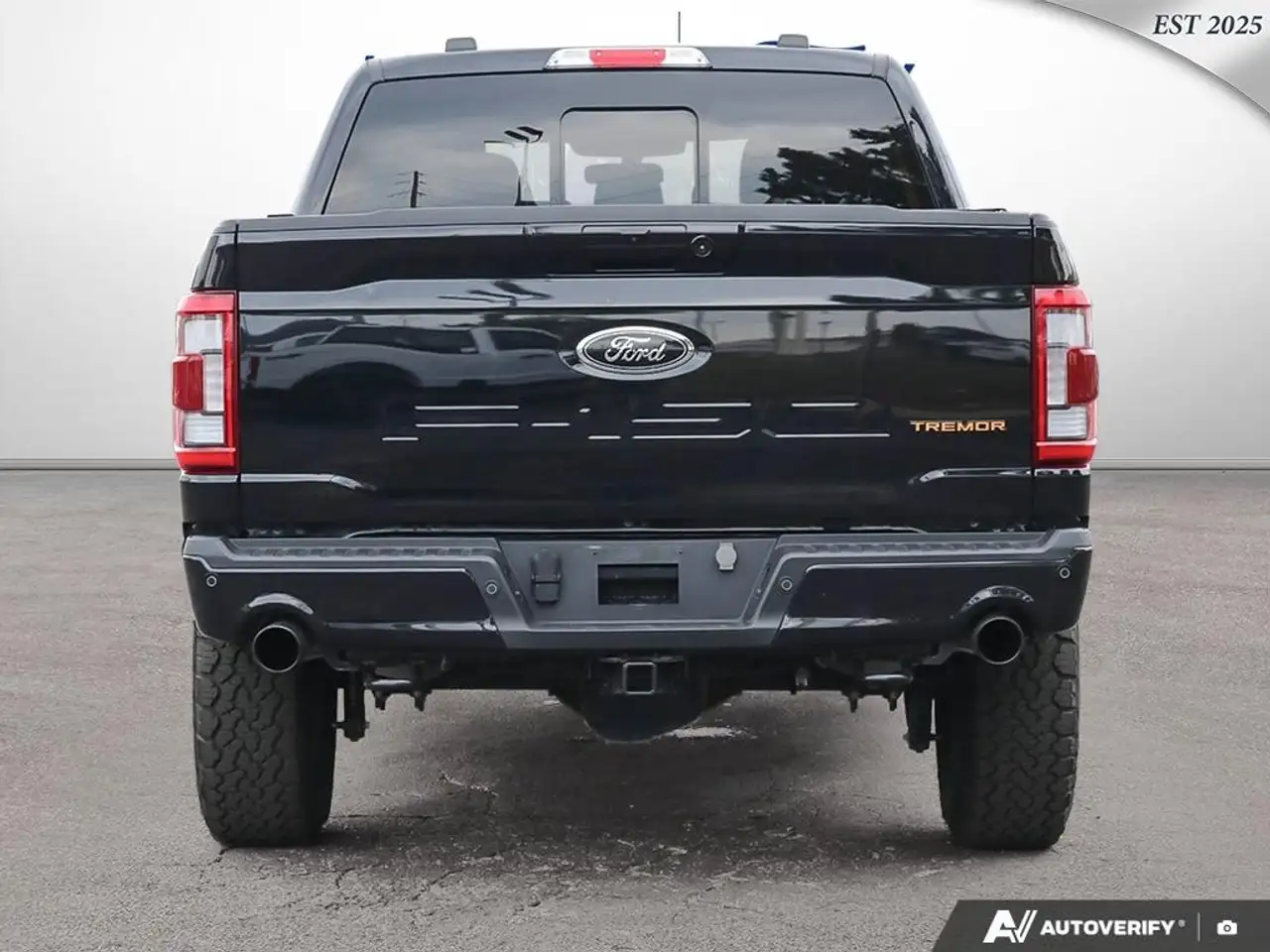 Ford F-150 - Image 5