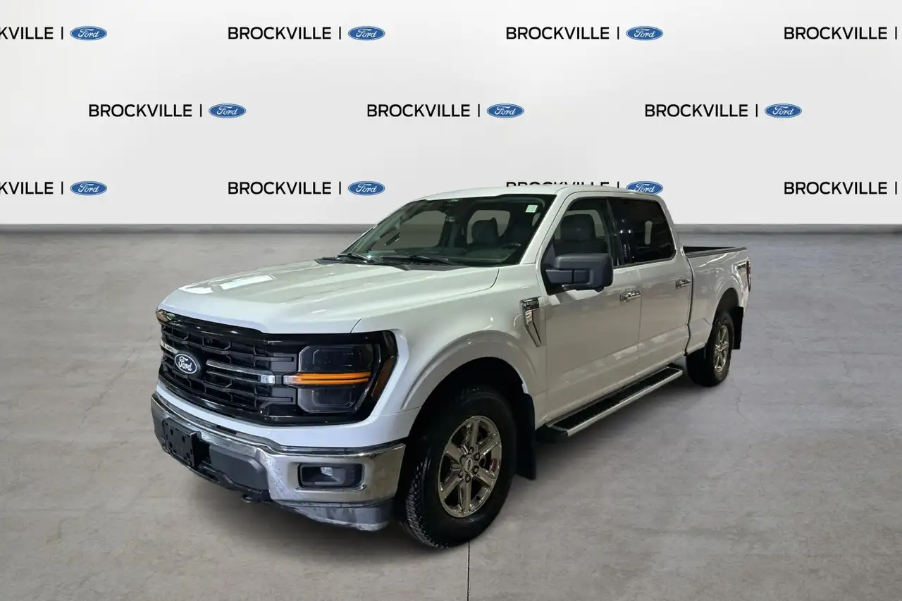 Ford F-150 - Image 3