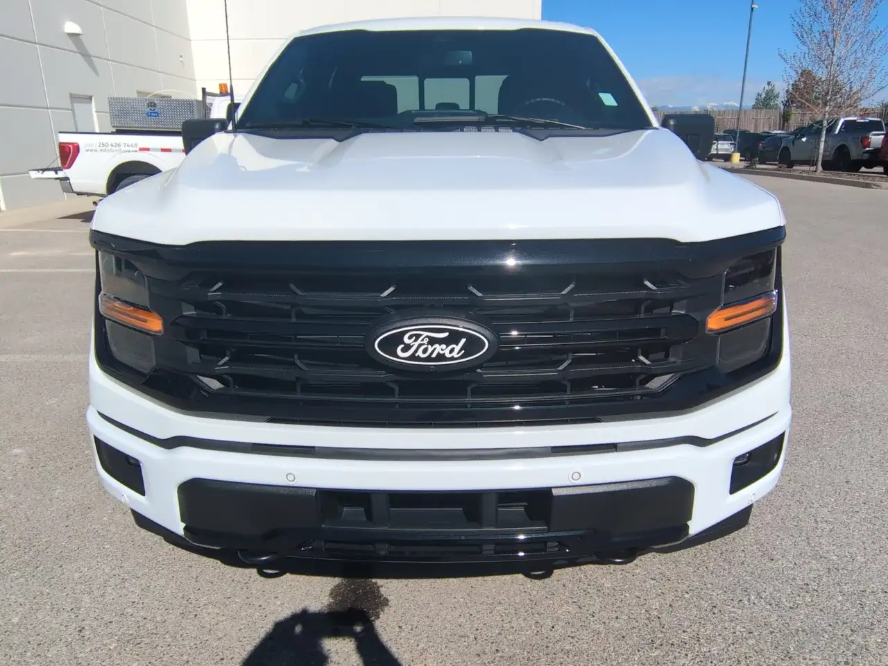 Ford F-150 - Image 9