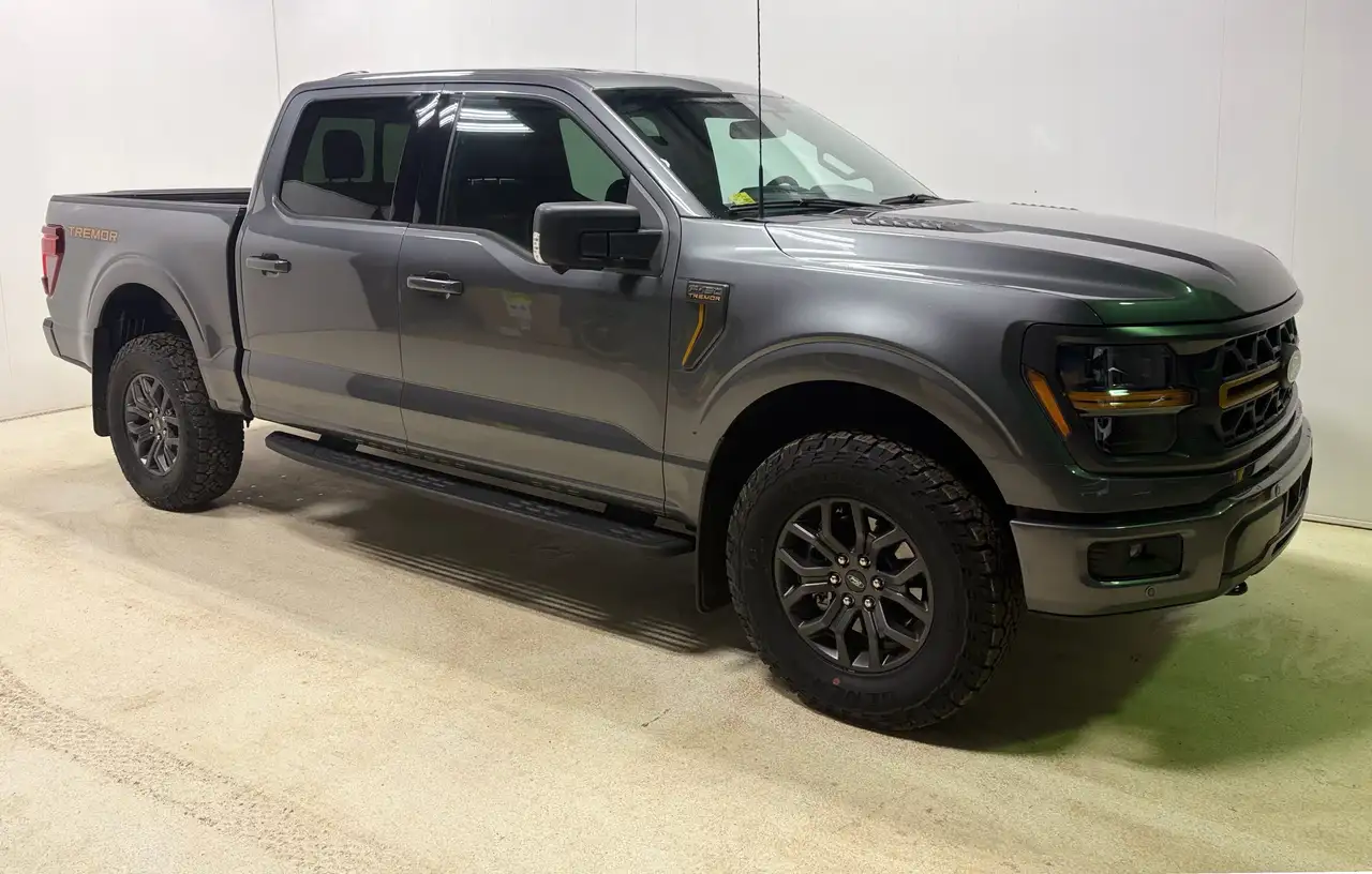 Ford F-150 - Image 3