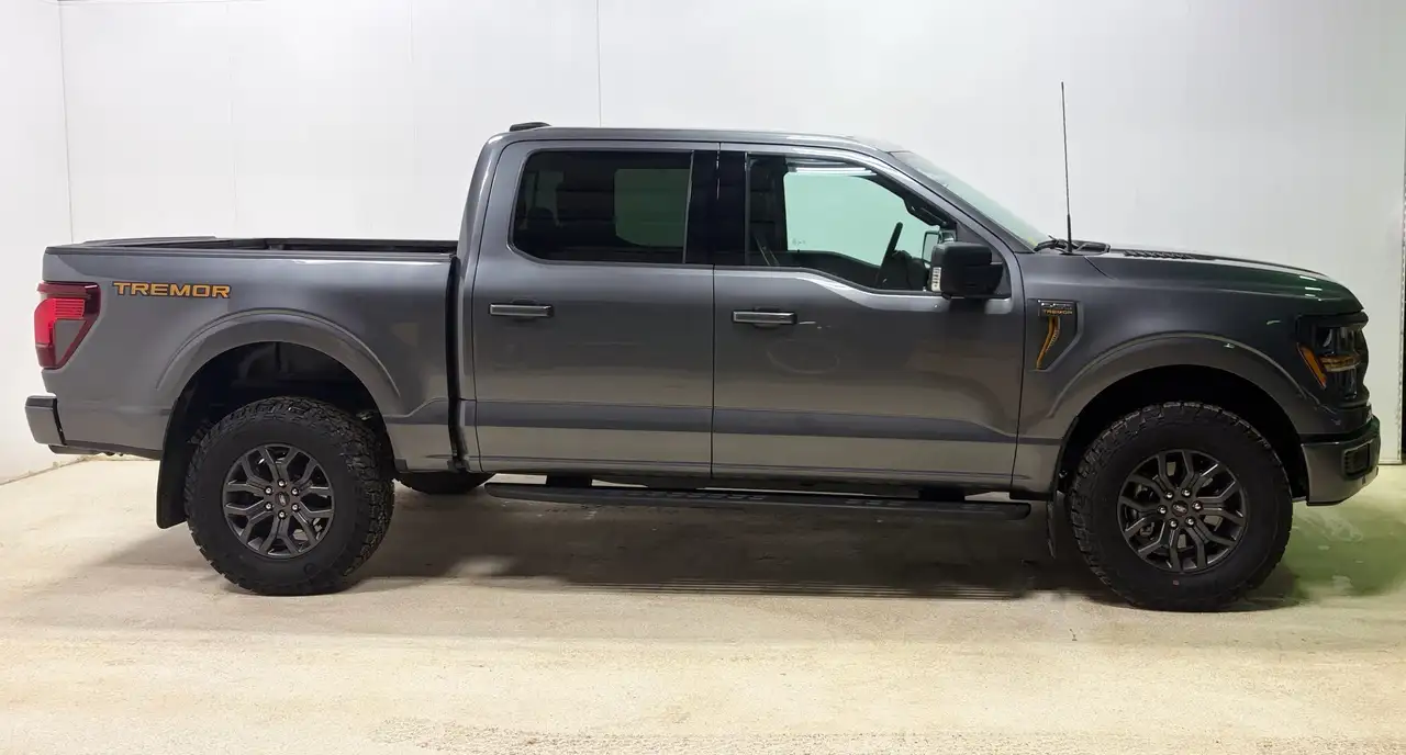 Ford F-150 - Image 4