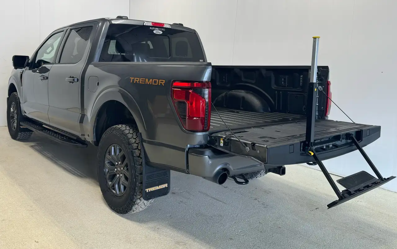 Ford F-150 - Image 21