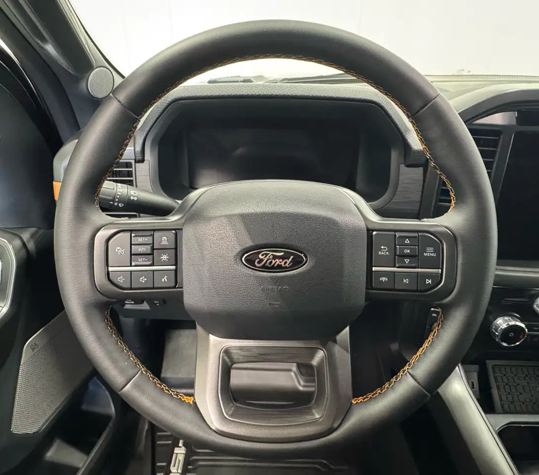 Ford F-150 - Image 13