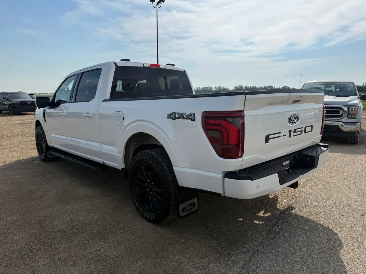 Ford F-150 - Image 6