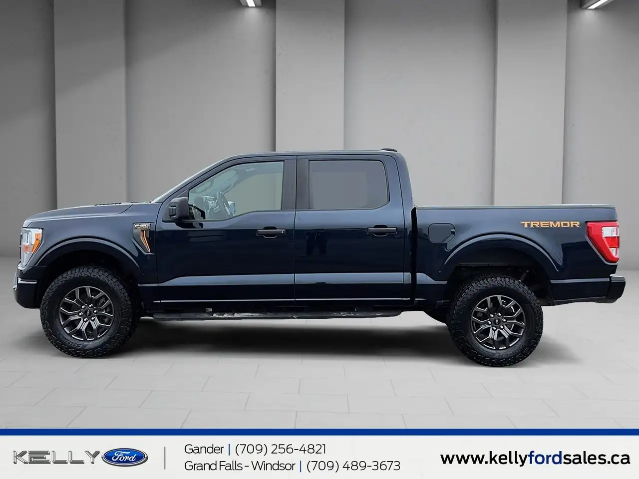 Ford F-150 - Image 5