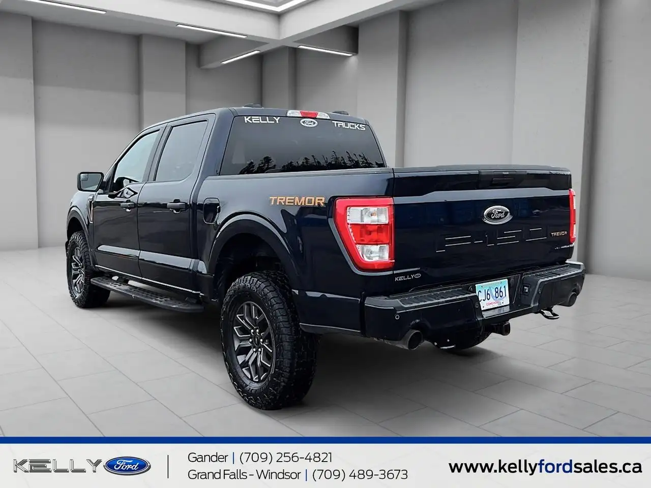 Ford F-150 - Image 4