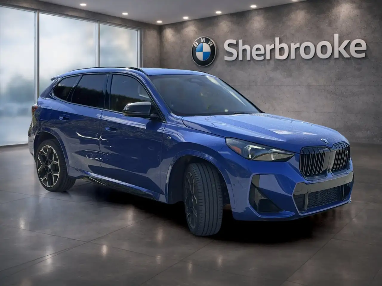 BMW X1 - Image 3