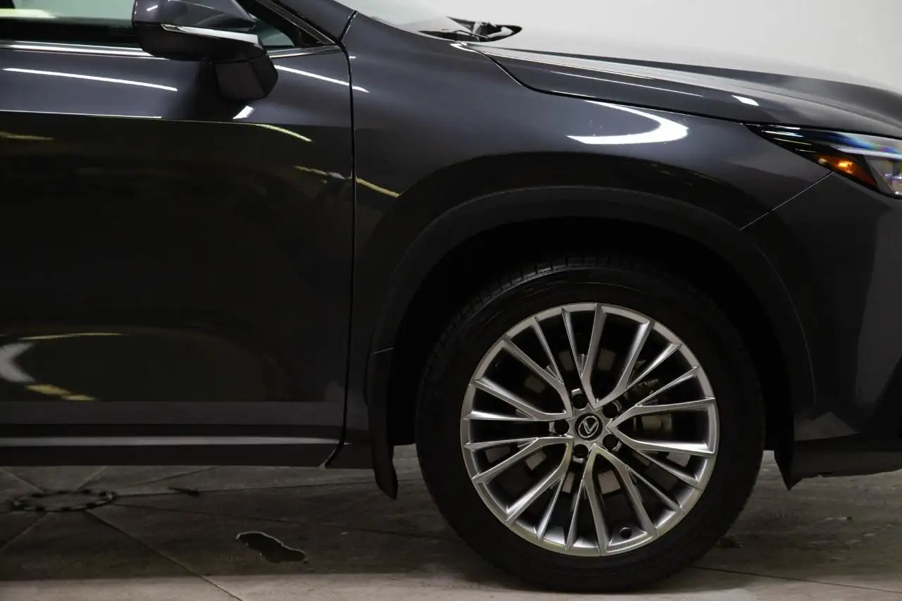 Lexus NX 350 - Image 13