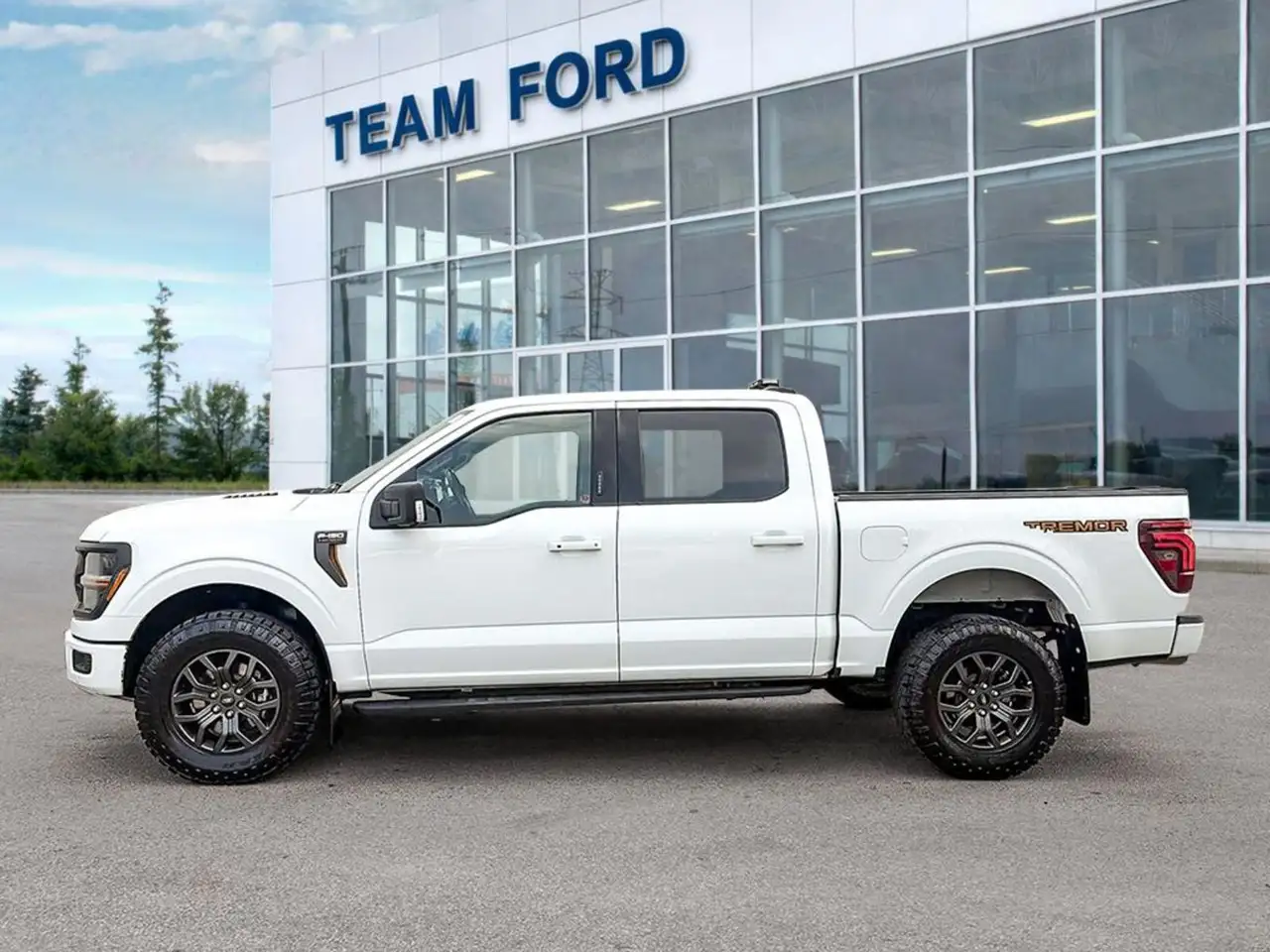 Ford F-150 - Image 4