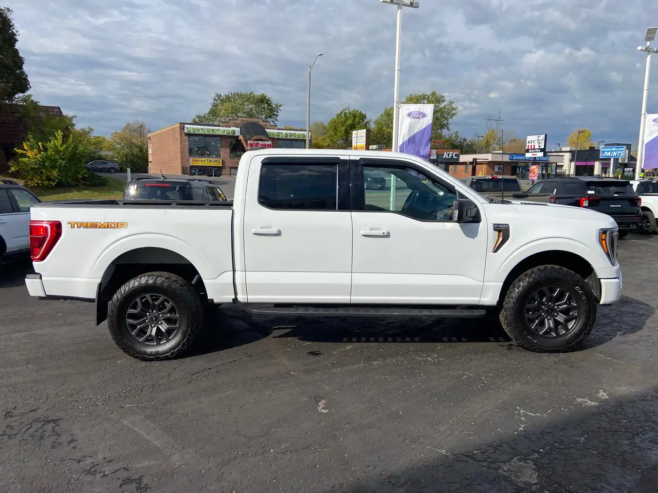 Ford F-150 - Image 8