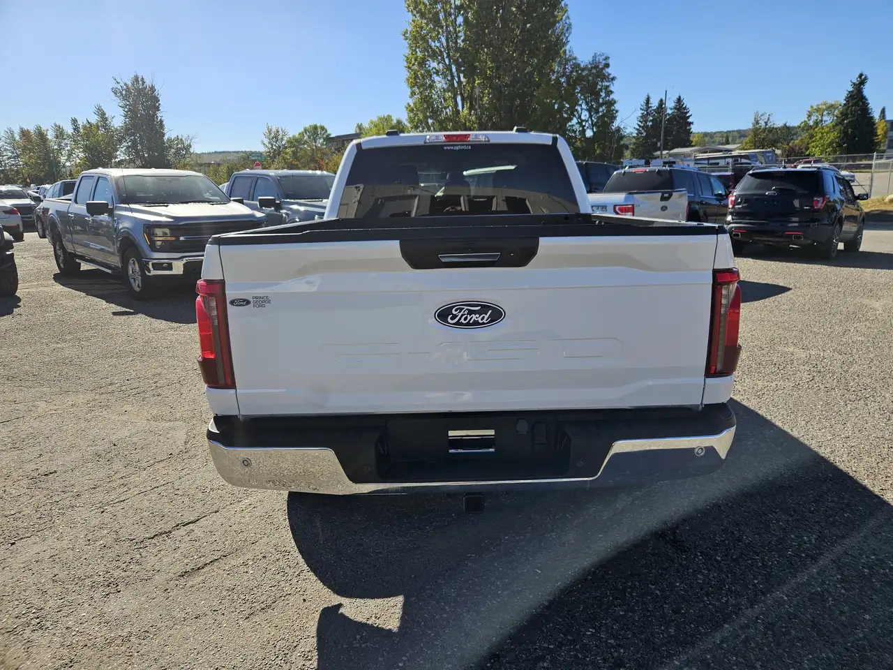 Ford F-150 - Image 8