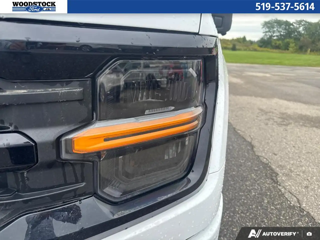 Ford F-150 - Image 8