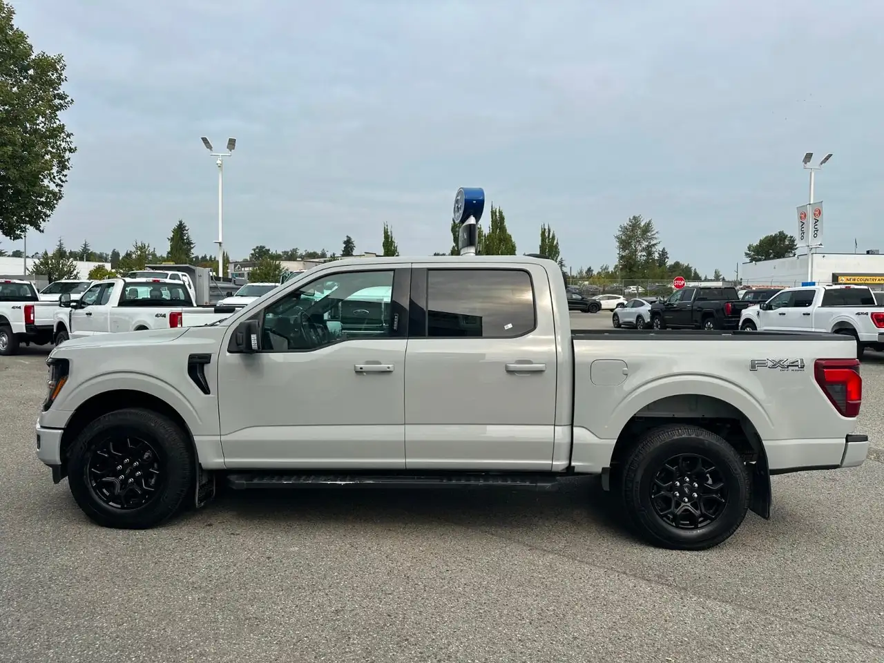 Ford F-150 - Image 13
