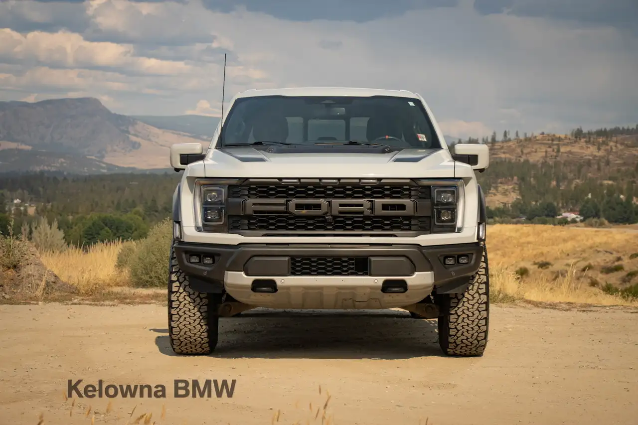 Ford F-150 - Image 3