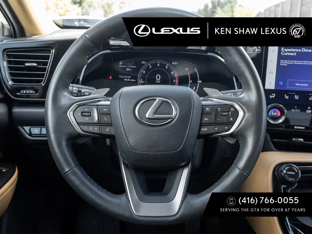 Lexus NX - Image 8