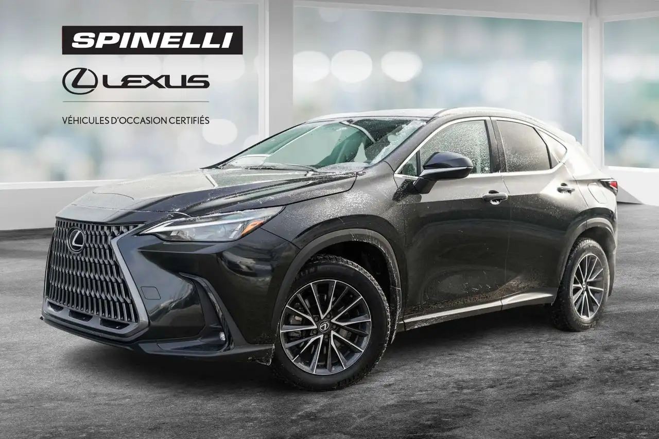 Lexus NX - Image 1
