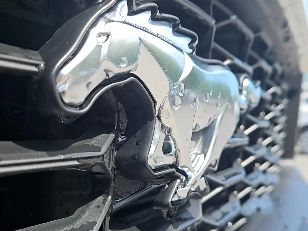 Ford Mustang - Image 9