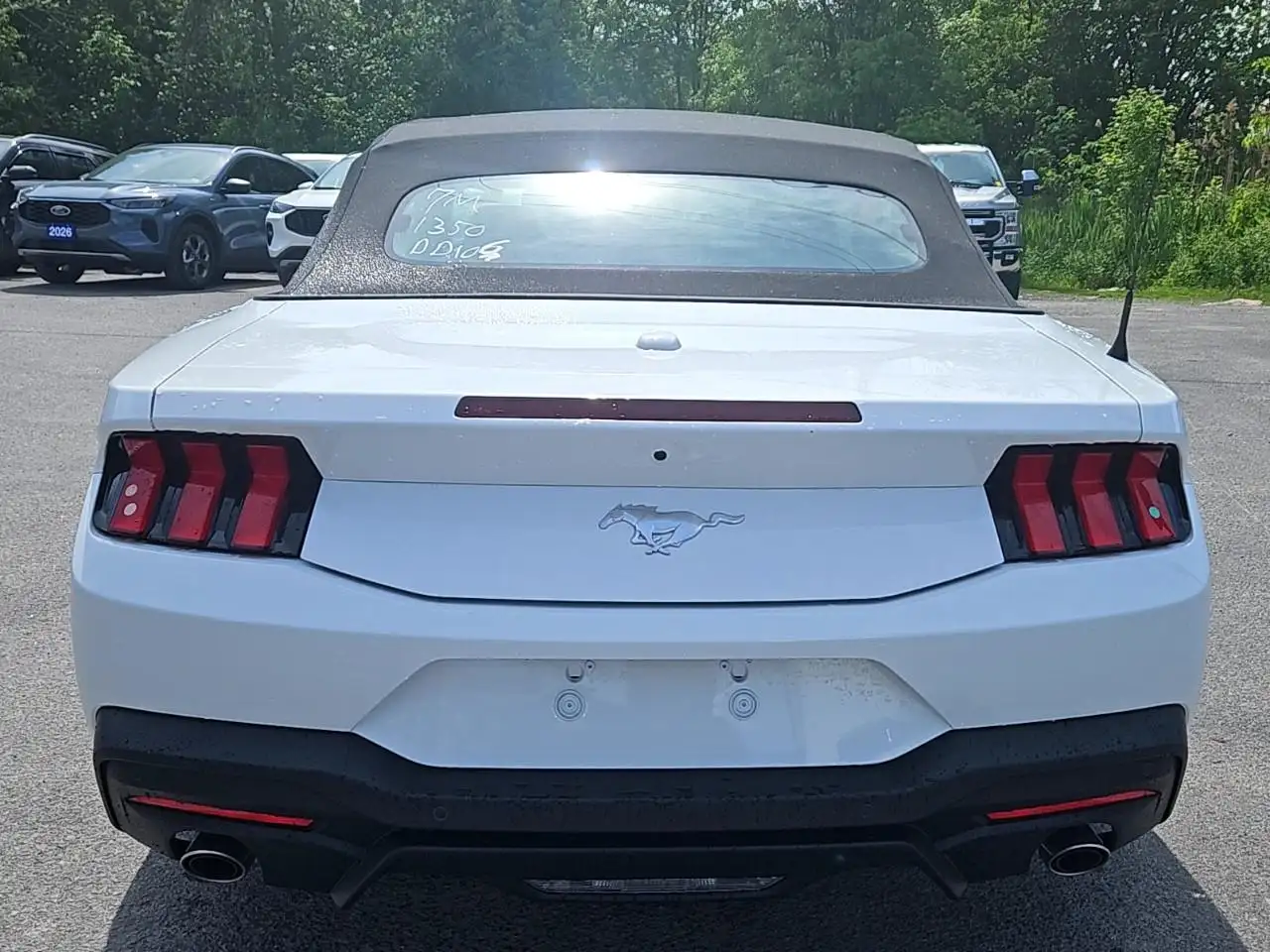 Ford Mustang - Image 6