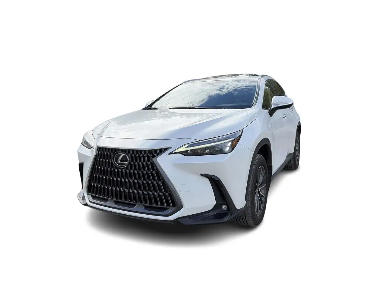 Lexus NX - Image 5