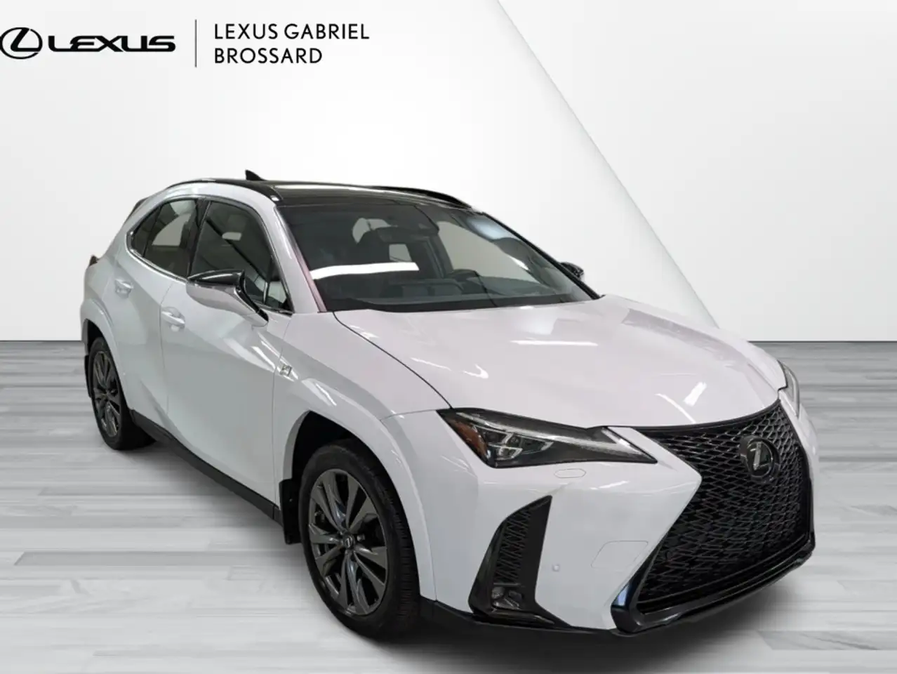 Lexus UX 250h - Image 6