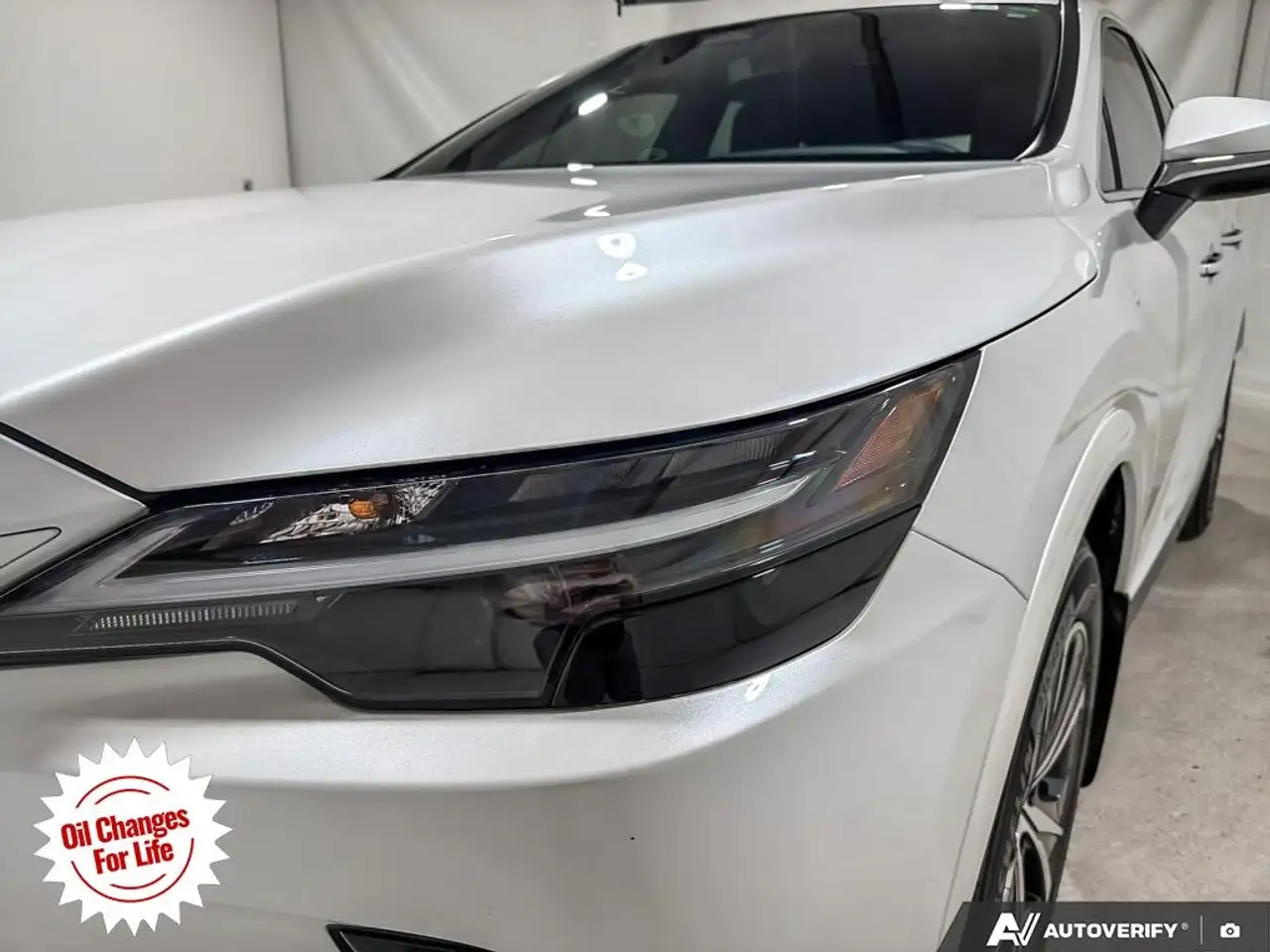 Lexus RX - Image 13