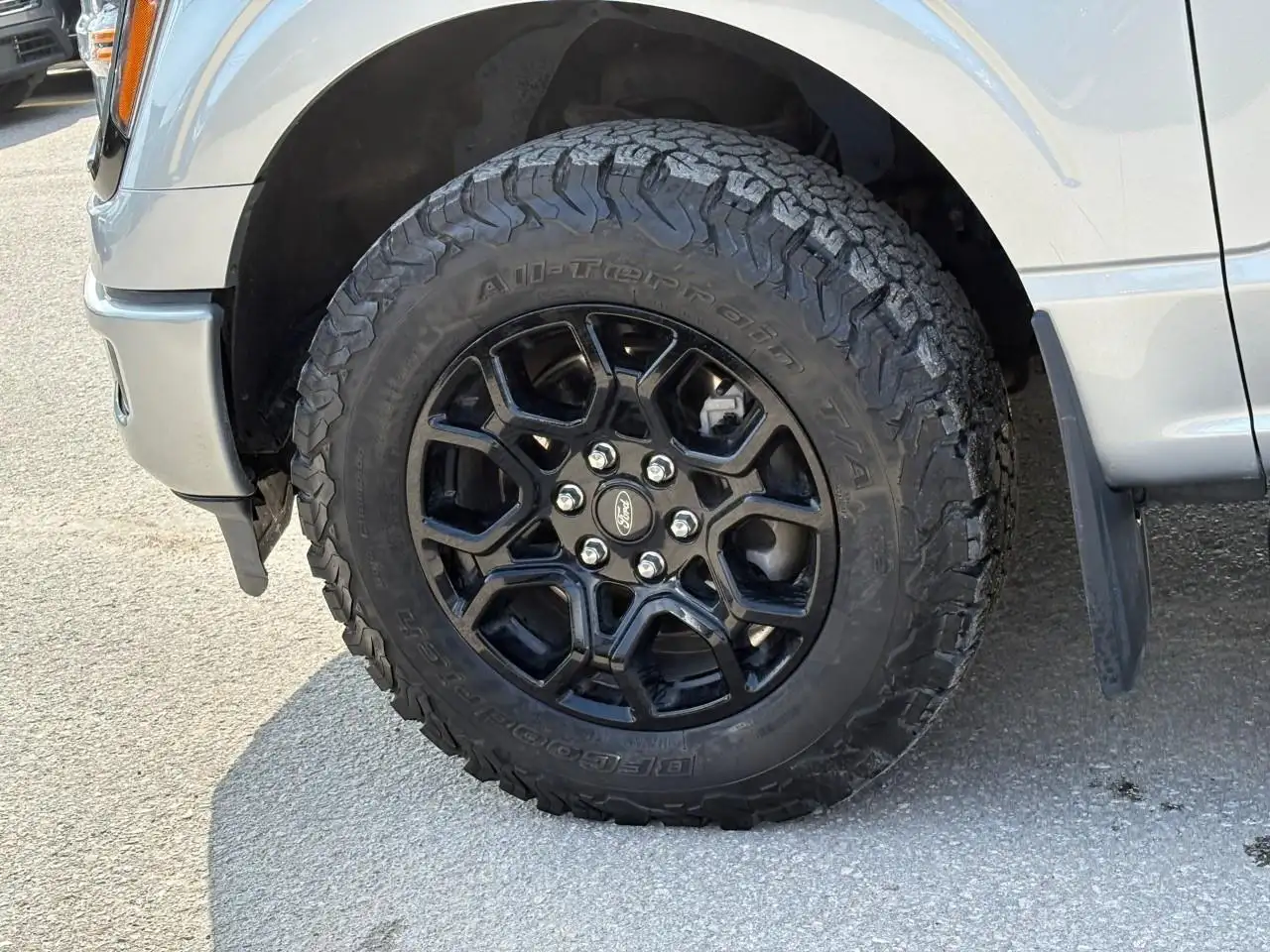 Ford F-150 - Image 10