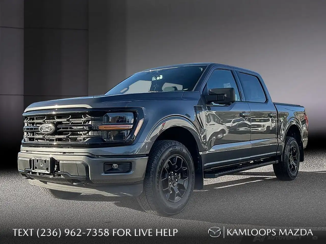 Ford F-150 - Image 1