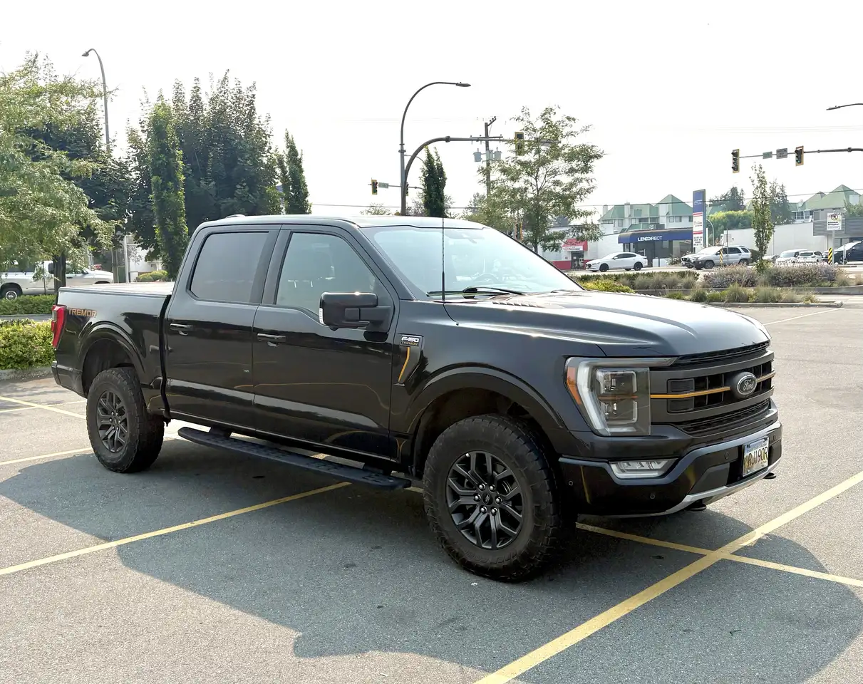 Ford F-150 - Image 3