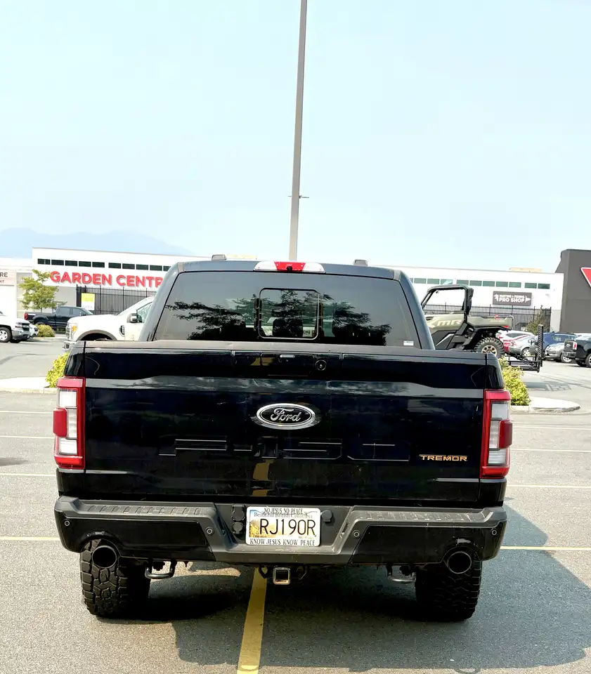 Ford F-150 - Image 4