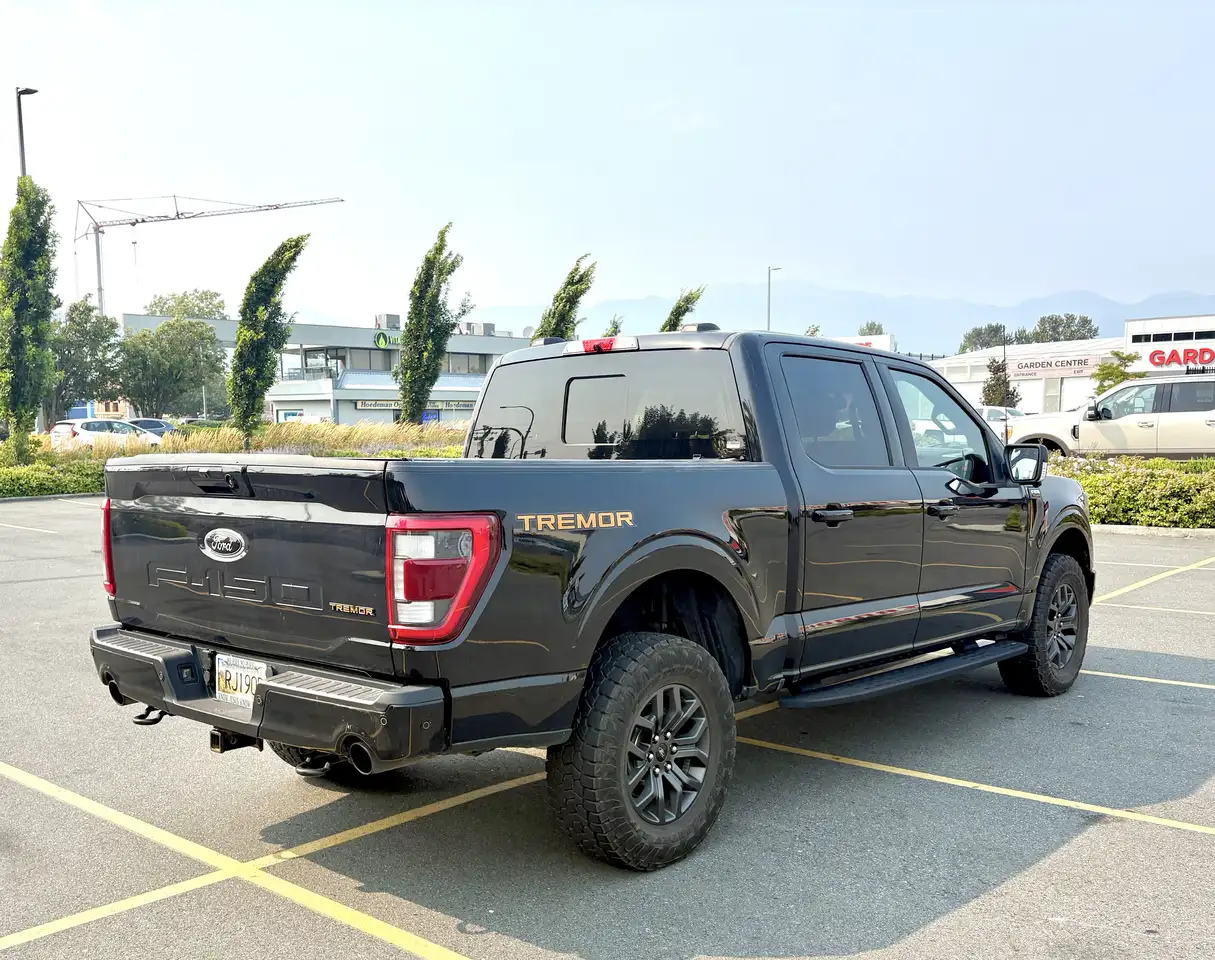 Ford F-150 - Image 5