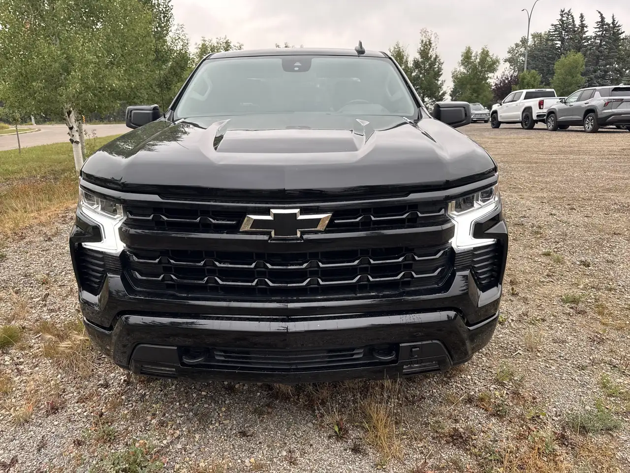 Chevrolet Silverado 1500 - Image 2