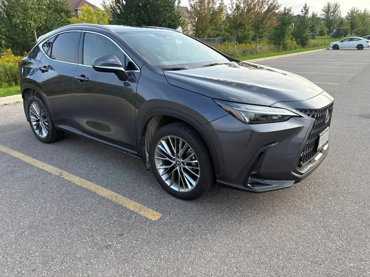 Lexus NX 350 - Image 7