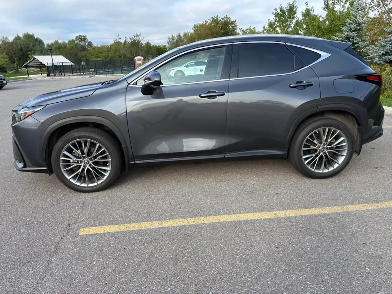 Lexus NX 350 - Image 2