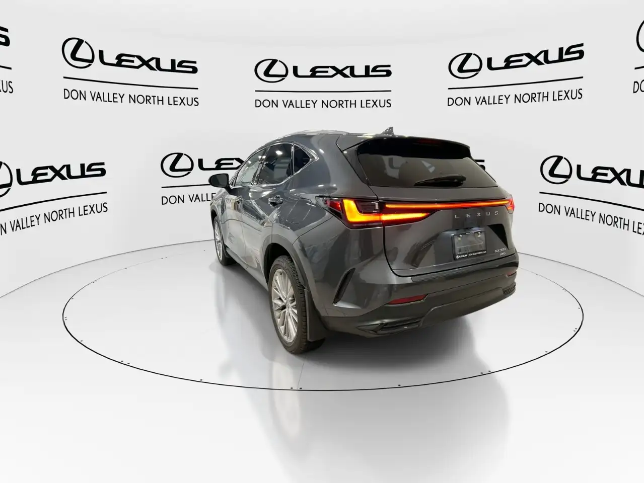 Lexus NX - Image 6
