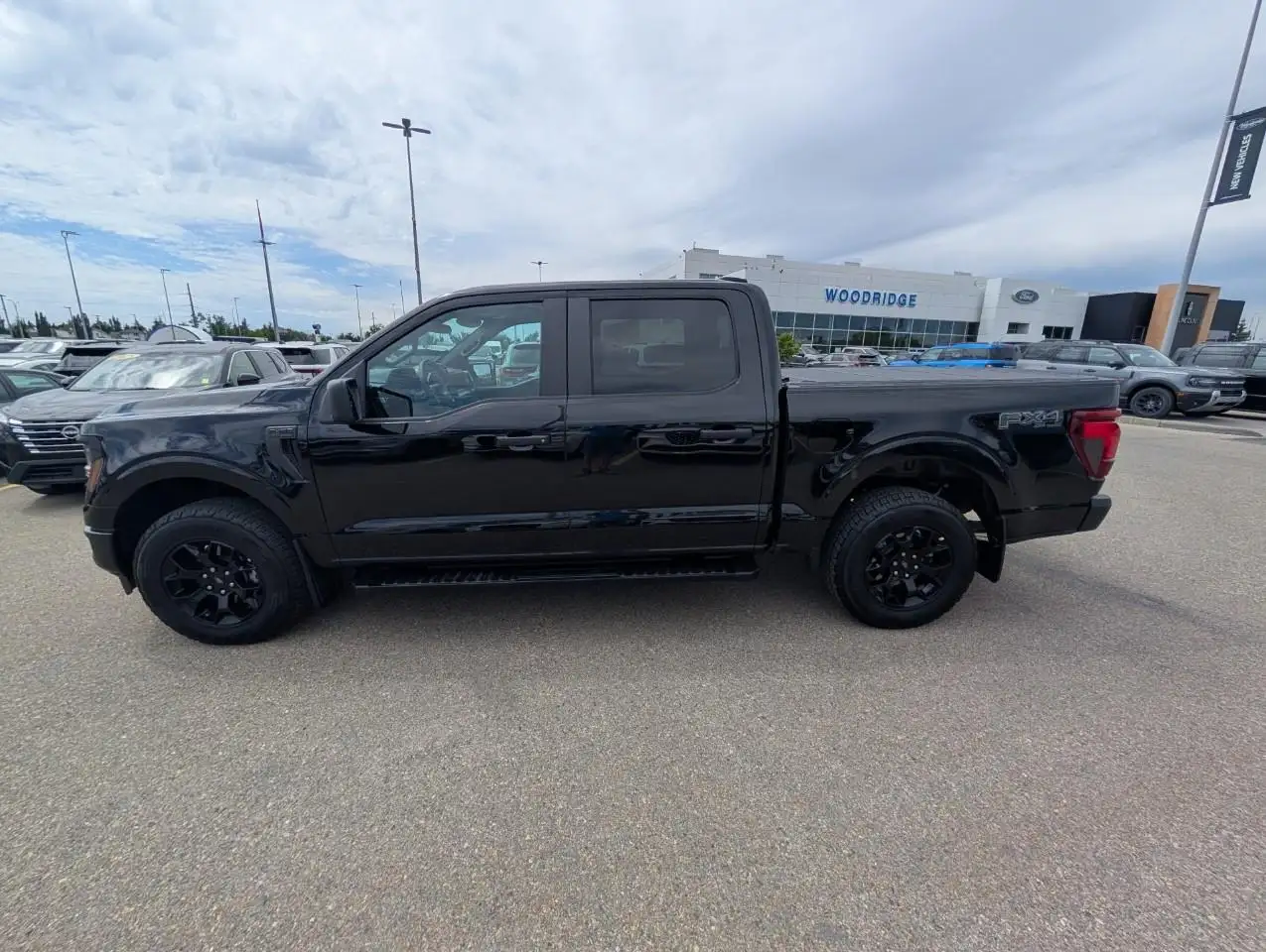Ford F-150 - Image 4