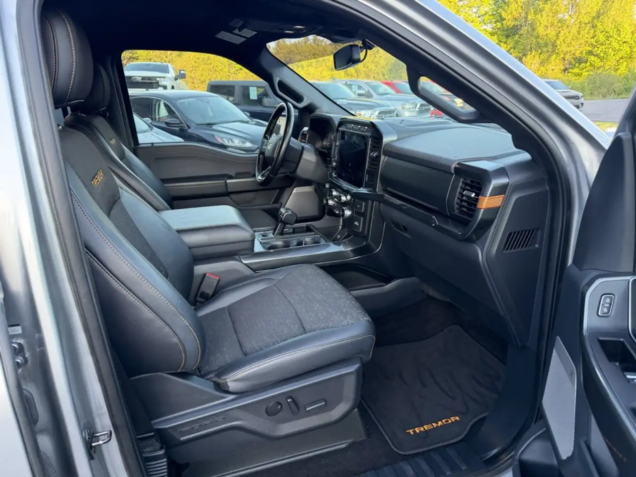 Ford F-150 - Image 33