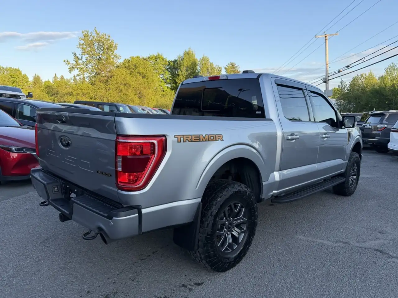 Ford F-150 - Image 3