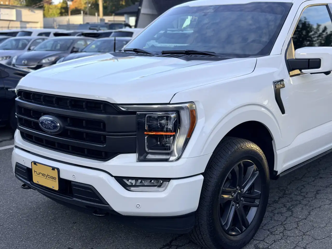 Ford F-150 - Image 13