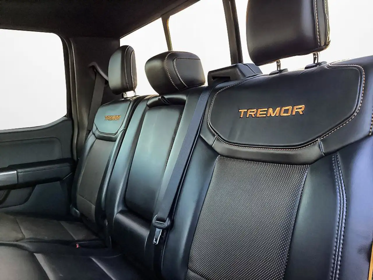 Ford F-150 - Image 26