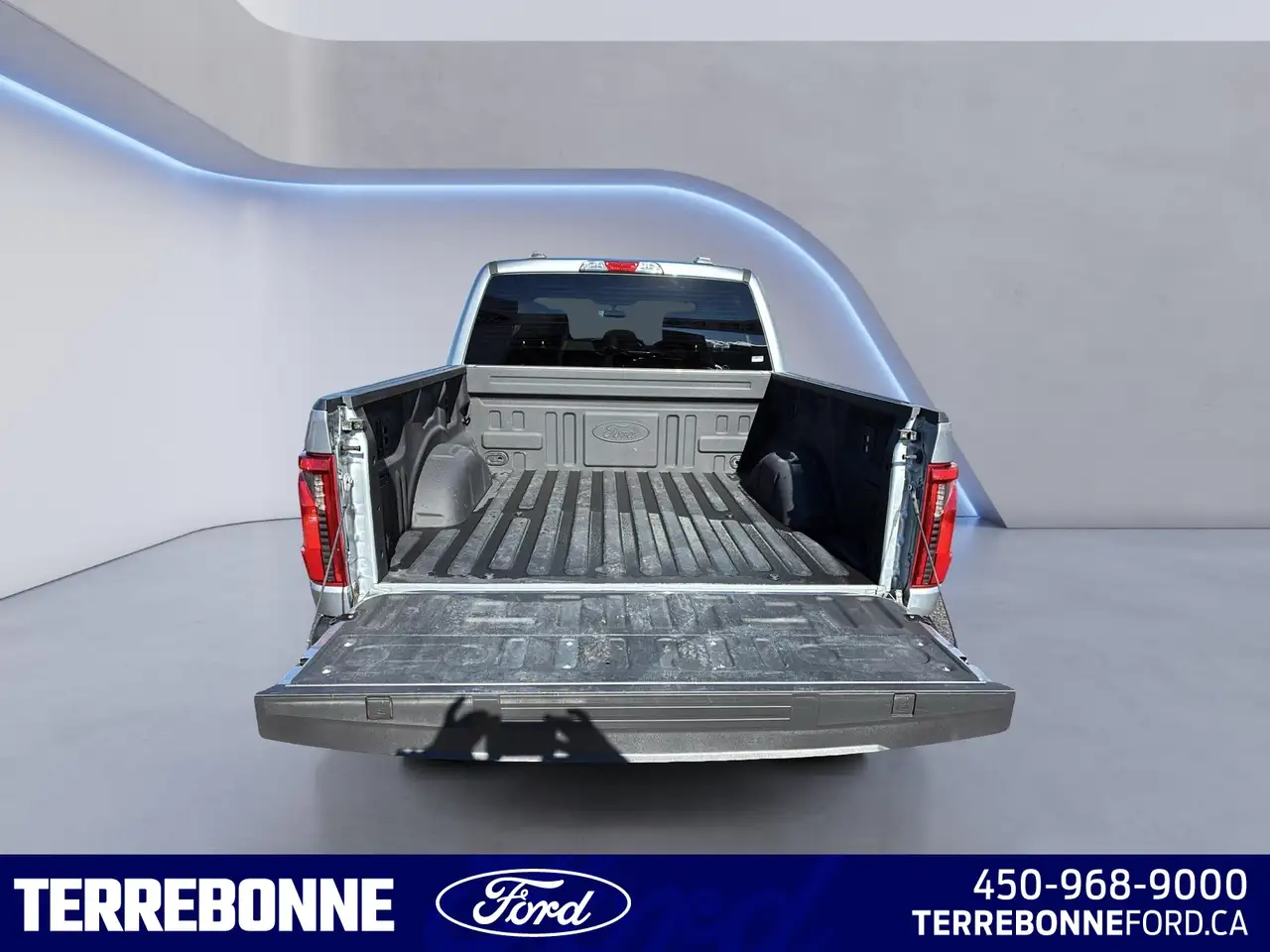 Ford F-150 - Image 9